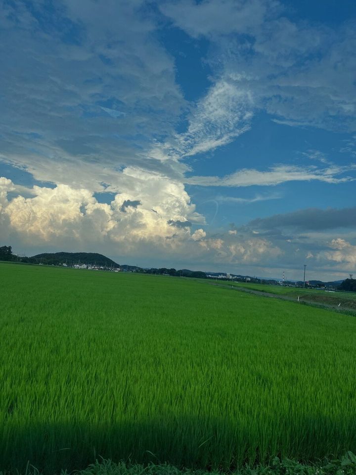 那須塩原の田園風景
