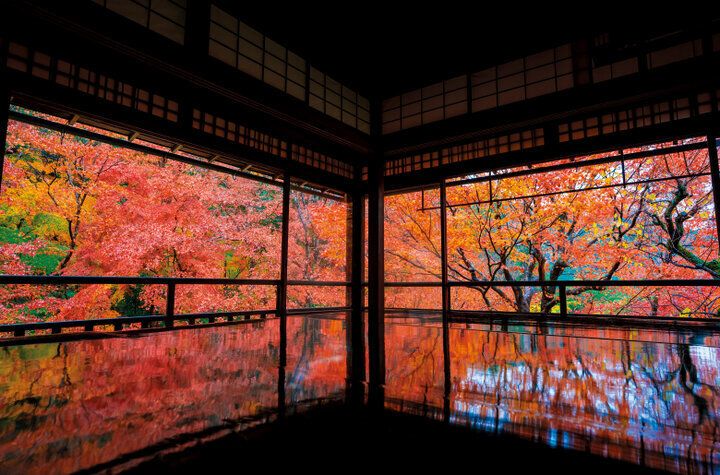 【2025年秋 イヴルルド遙華の12星座占い】～虹色の2026年へ♪逆行期を最強の追い風にするヒントがたくさん～