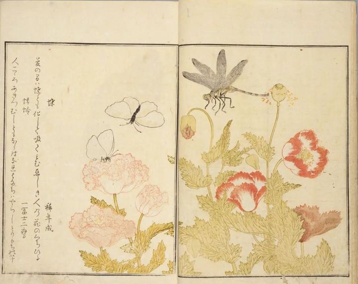 喜多川歌麿 筆 , 宿屋飯盛 撰『画本虫ゑらみ』,耕書堂蔦屋重三郎,天明8 [1788]. 国立国会図書館デジタルコレクション（参照：2025年9月10日）