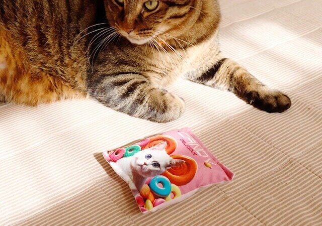 ダイソーのデザインが可愛いカシャカシャおもちゃ（キャンディ）