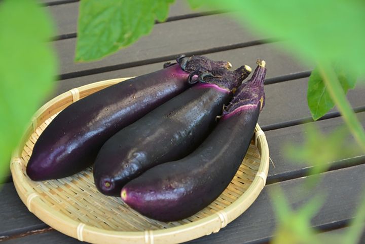 夏から秋に収穫される露路栽培のナスは、おいしさが格別。