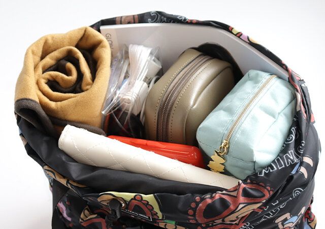 宝島社ヒステリックミニ2wayバッグa4大容量