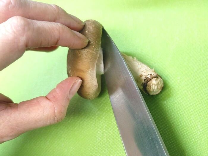 しいたけを保存するとき、かさの向きは上向き？それとも下向き？冷凍保存でおいしさをキープするコツ！