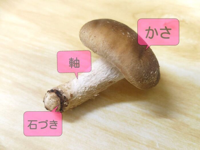 しいたけを保存するとき、かさの向きは上向き？それとも下向き？冷凍保存でおいしさをキープするコツ！