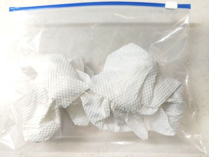 しいたけを保存するとき、かさの向きは上向き？それとも下向き？冷凍保存でおいしさをキープするコツ！