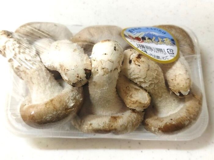 しいたけを保存するとき、かさの向きは上向き？それとも下向き？冷凍保存でおいしさをキープするコツ！