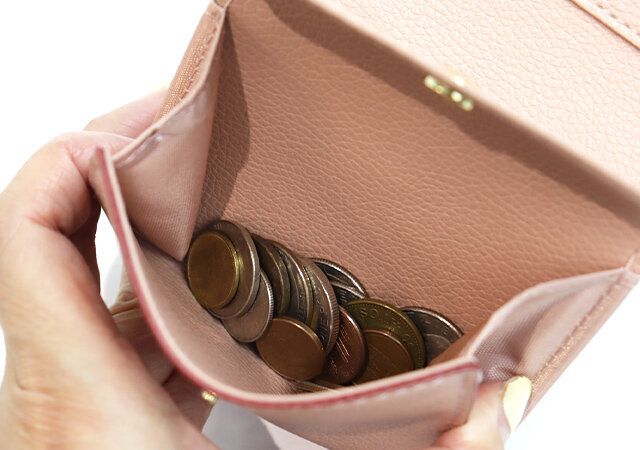 宝島社ムック付録VIS ハートカット財布ミニBOOK PINK4