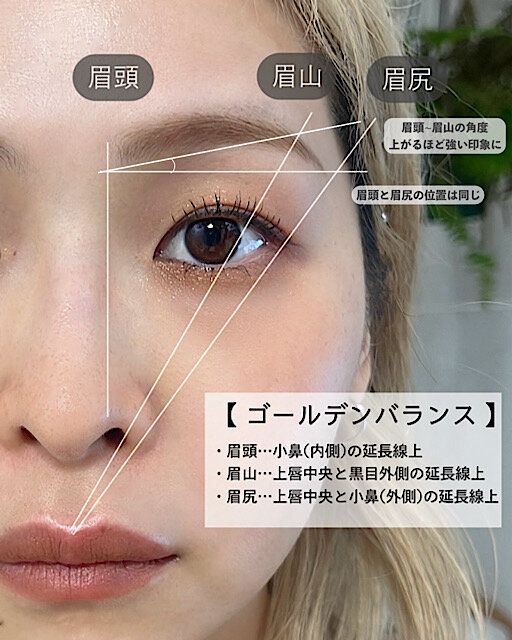 眉のゴールデンバランス 解説