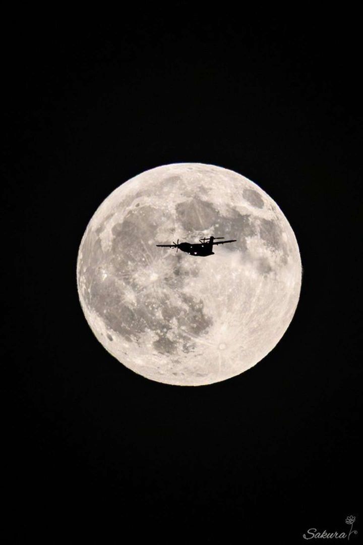 画像はSakura＠sakuraing64さんの投稿より、再掲