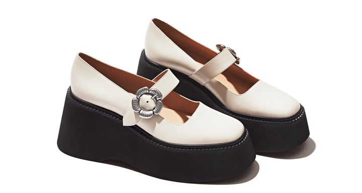 ステディブランド コーチ