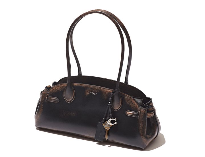 ステディブランド コーチ