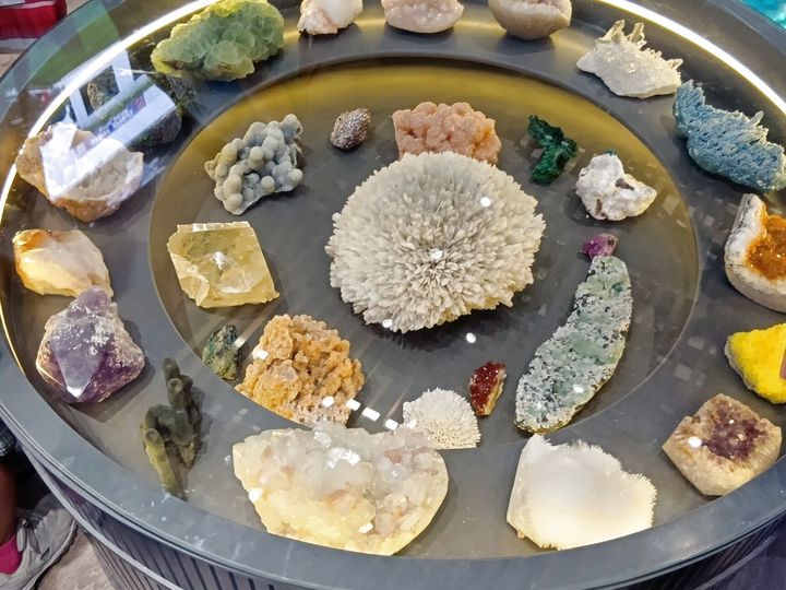 閉幕まであと1か月！大混雑日のなか運よく予約なしで入館できたパビリオンリアルレポ！