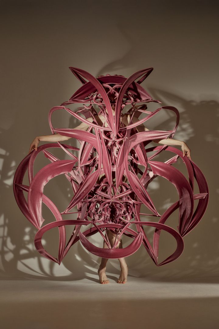 2026年春夏コレクション「004」