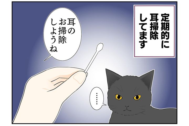 【マンガ・老猫日誌 ＃12】18歳の元保護猫・桃姐、耳掃除をする