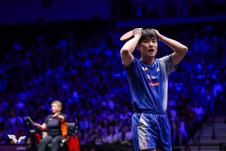 張本智和（C）WTT