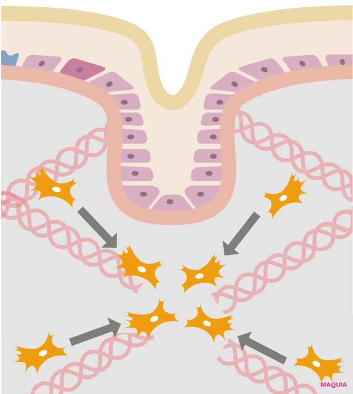 オルビス ザ リンクルセラム 最新美容 シワ改善美容液 遊走