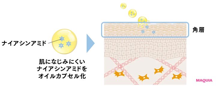 オルビス ザ リンクルセラム 最新美容 シワ改善美容液 肌になじみにくいナイアシンアミドをオイルカプセル化 角層