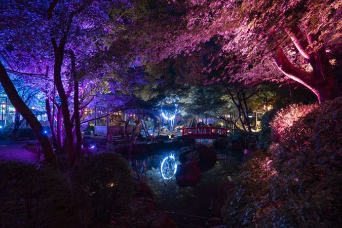 祐徳稲荷神社「ナイトウォーク 狐の嫁入り 2025」