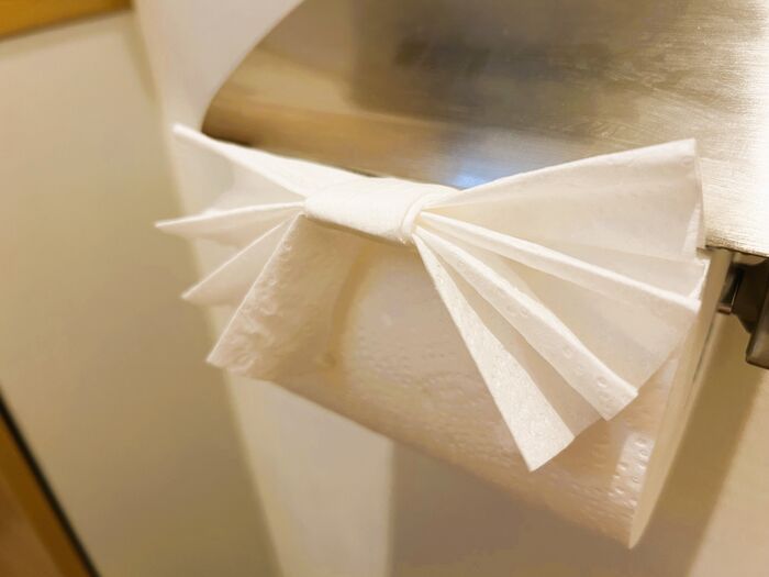 トイレットペーパーの『ハート折り』を試してみたら→家族の反応がおもしろすぎた。