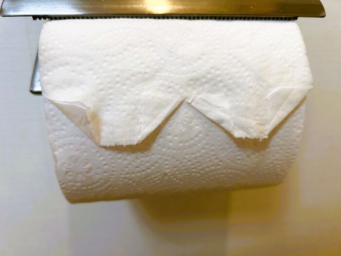 トイレットペーパーの『ハート折り』を試してみたら→家族の反応がおもしろすぎた。