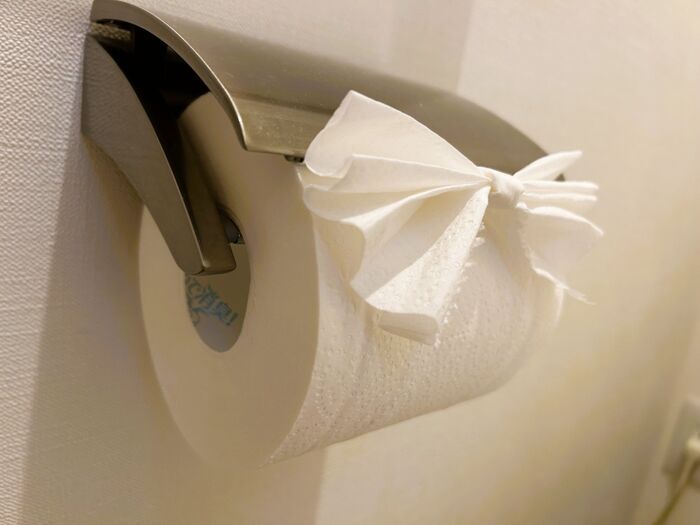 トイレットペーパーの『ハート折り』を試してみたら→家族の反応がおもしろすぎた。