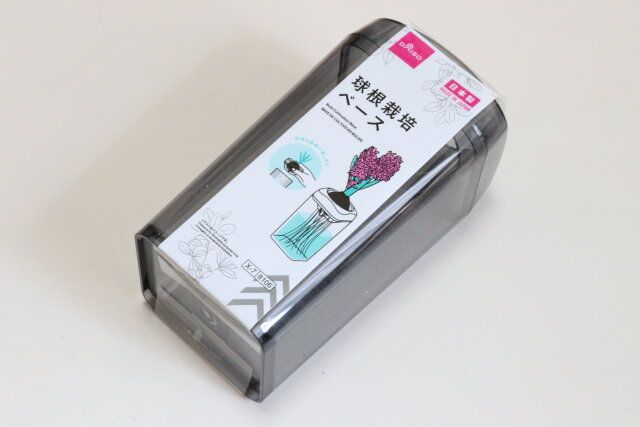 ダイソーの球根栽培ベースのビジュアル