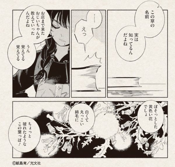 紙島 育『ののはな語らず』。古道具屋の店主・友野ののこが、亡き祖父の図鑑を手に身近な草花と友人に。