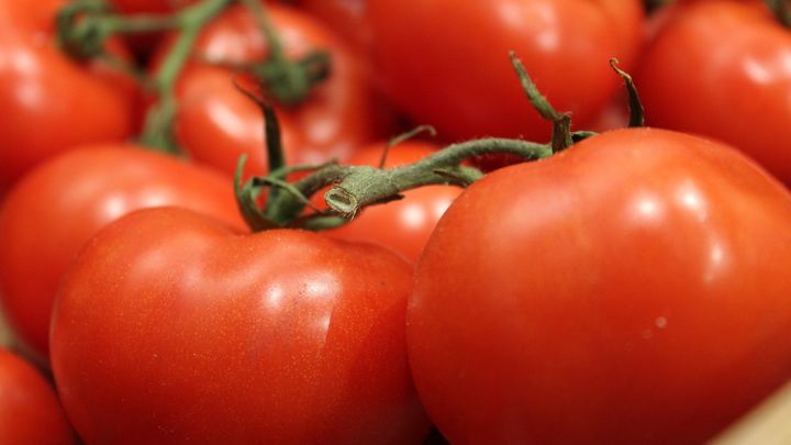 普通のトマトもエタノールで甘くなる