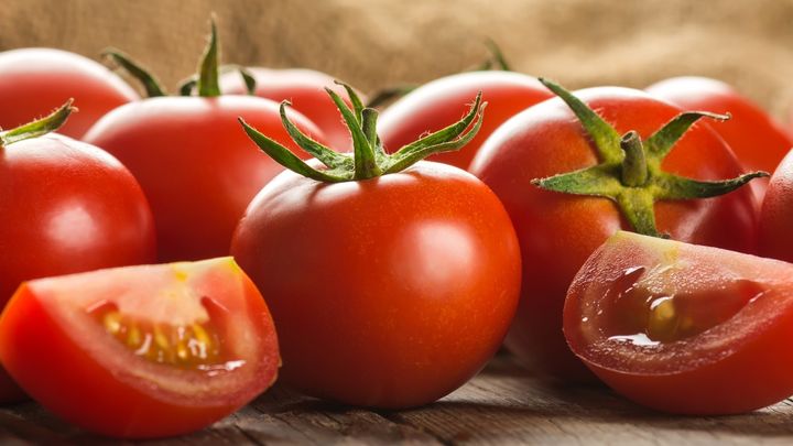 トマトにエタノールをかけてみよう