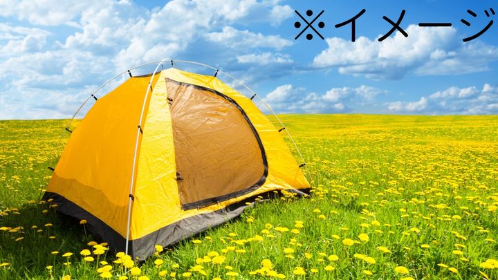 夏フェスで判明！蚊に狙われやすい人の意外な行動