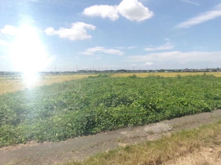 ①列車からの景色