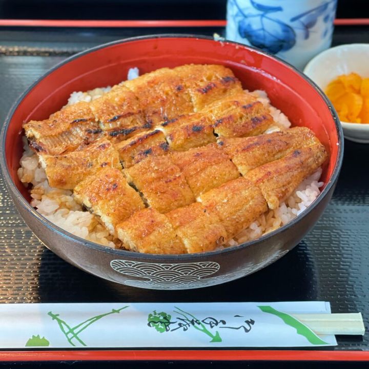 源内のうなぎ丼
