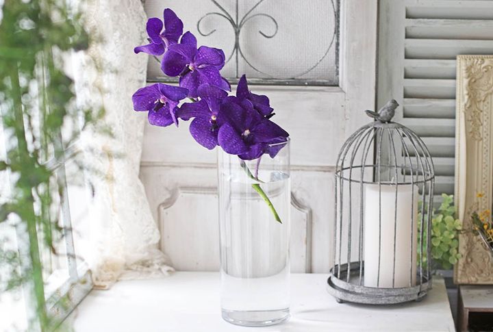 バンダを入れる