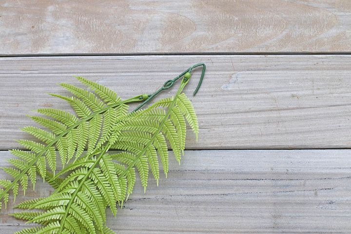 葉の向きを整える