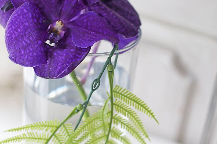 フェイクのシダを入れる