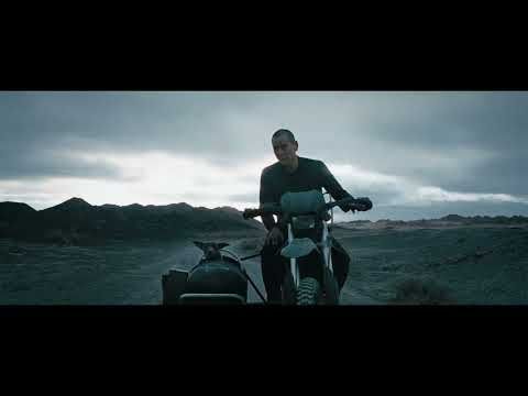 天才犬シンの名演技に注目！ カンヌ映画祭W受賞の中国映画『ブラックドッグ』が感動を届ける