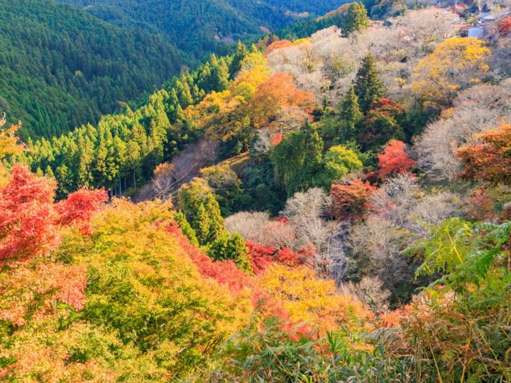 All About ニュース編集部が全国238人を対象に実施した「1人旅で行きたい温泉地」に関するアンケートの調査結果から、1人旅で行きたい「奈良県（奈良・吉野・大和路エリア）の温泉地」ランキングを発表！ 2位「吉野温泉」を抑えた1位は？