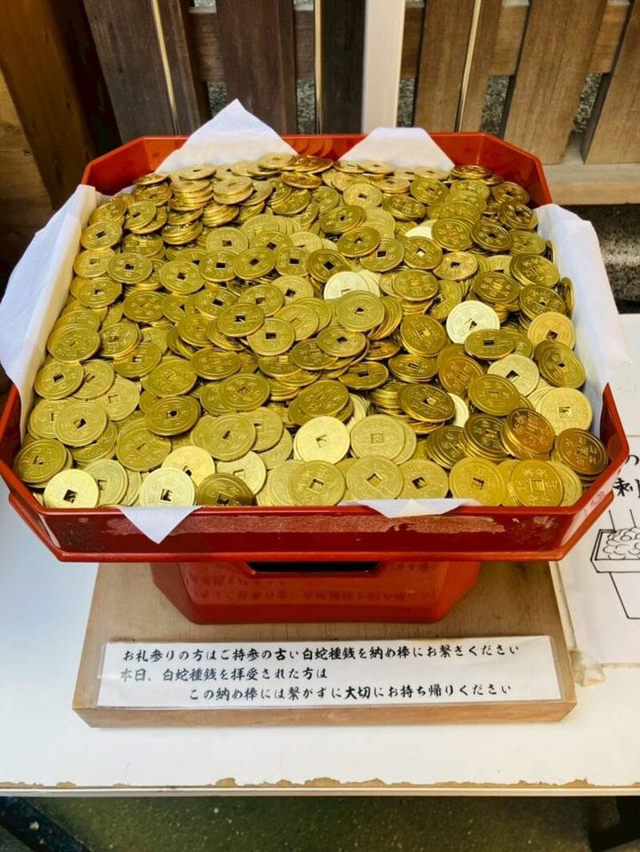 蛇窪神社の白蛇種戦