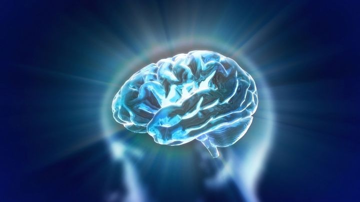 上からのトップダウン型命令で視覚野に錯覚がうまれる