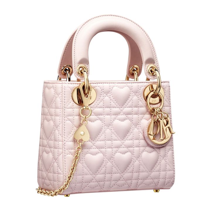 バッグ 本体 H15㎝ ￥860,000／DIOR