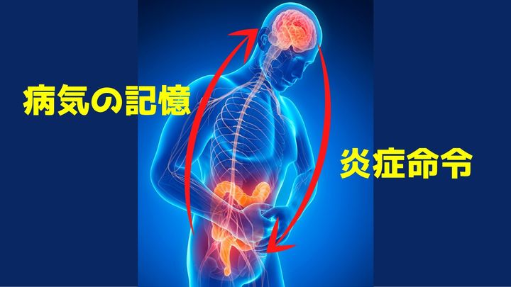 記憶だけで内臓に炎症が発生すると判明！ 病は気からの原理解明か