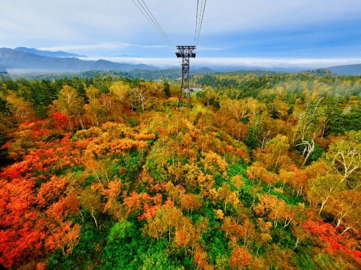 All About ニュース編集部が全国224人を対象に実施した「紅葉スポット（北海道・東北）」に関するアンケートの調査結果から、「好き・行ってみたい北海道の紅葉スポット」ランキングを発表！ 2位「大雪山・旭岳」を抑えた1位は？