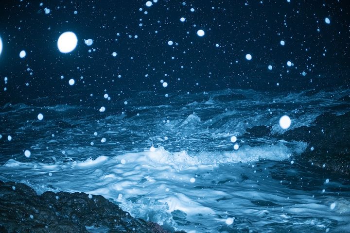 志賀理江子 《褜男》