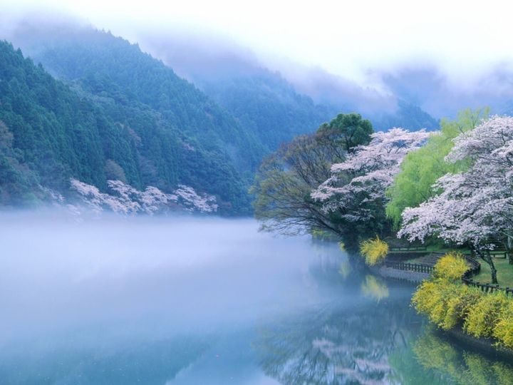 雄大な景色に溶け込み、私たちの生活を静かに見守るダム。All About ニュース編集部が実施した「ダム（中国・四国地方）」に関するアンケートの調査結果から、「好き＆行ってみたい徳島県のダム」ランキングを発表します。2位「川口ダム」を抑えた1位は？