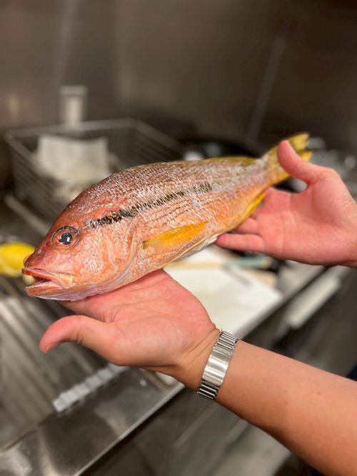 手早く下処理をしてきちんと保冷をすれば鮮度を落とさずに食べられます