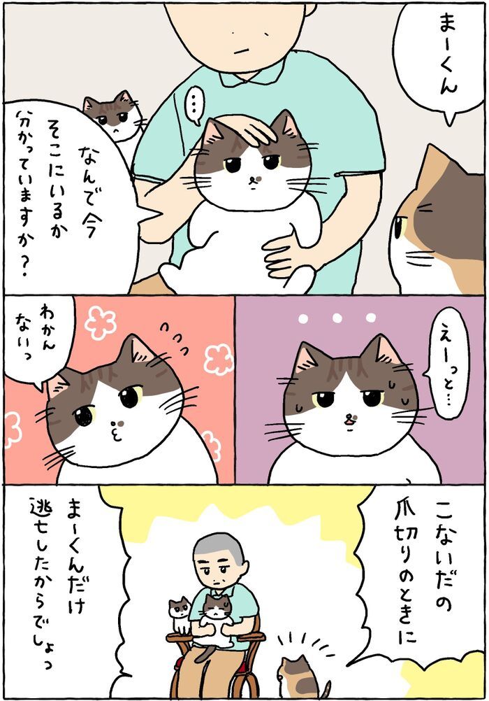 まーくんがどうしても苦手なコト。【てらねこミー子の日常】
