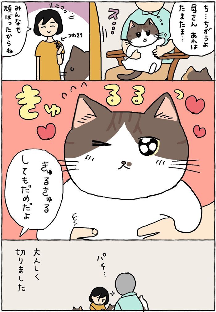 まーくんがどうしても苦手なコト。【てらねこミー子の日常】