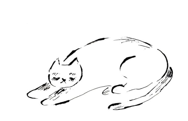 睡眠にまつわるQ&A