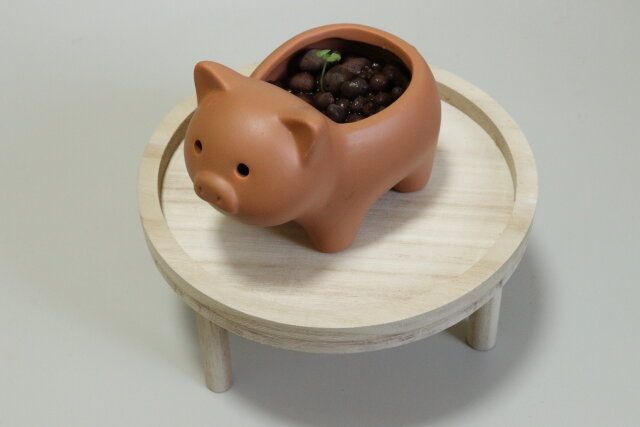 インテリア簡易ラック 鉢