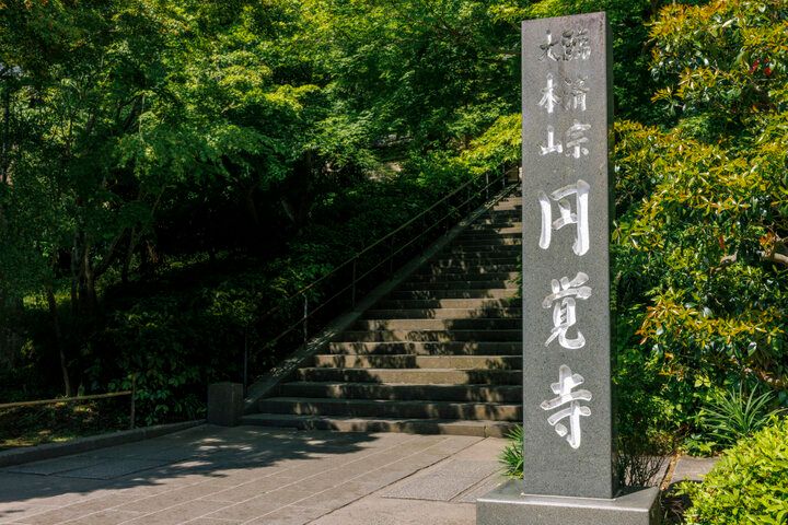 北鎌倉の天空カフェ♪ 円覚寺の絶景テラスで心うるおうひととき「弁天茶屋 航」 